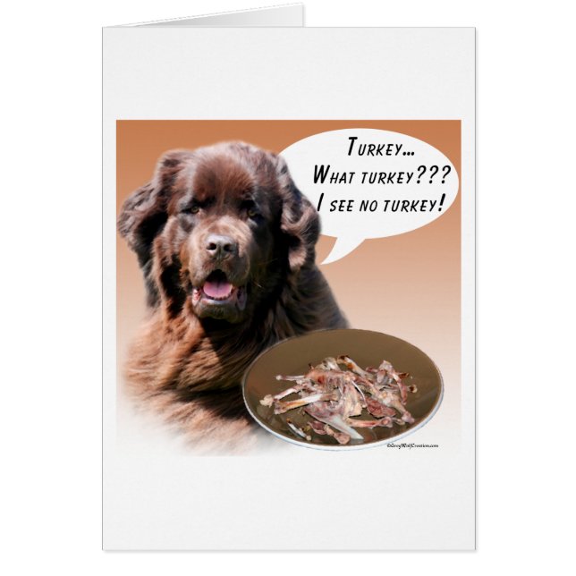 Cartão Terra Nova (castanha) Turquia (Frente)