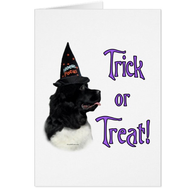 Cartão Terra Nova (localizador) (Frente)