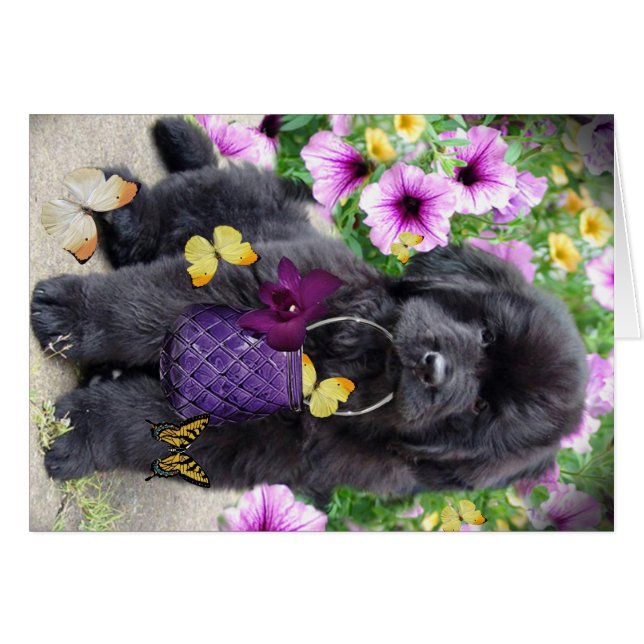 Cartão Terra Nova um o dia ensolarado (Frente Horizontal)