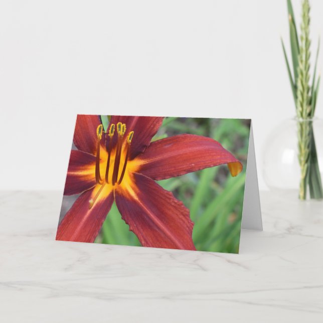 Cartão Terra Verde (Frente)