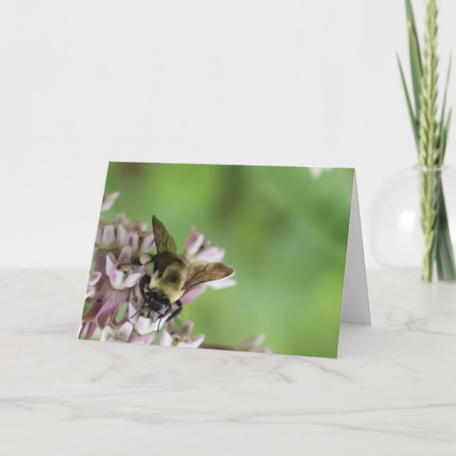 Cartão Terra Verde (Frente)