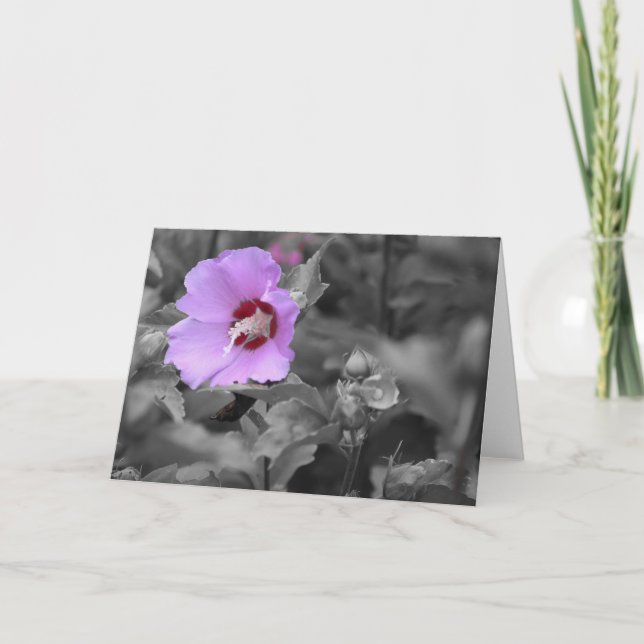 Cartão Terra Verde (Frente)