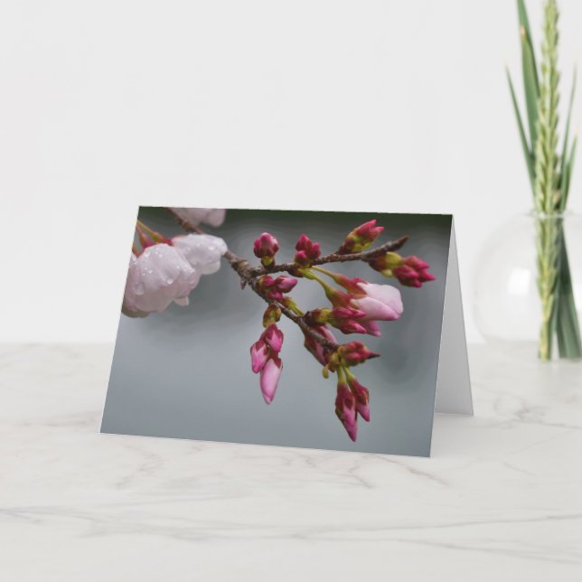 Cartão Terra Verde (Frente)