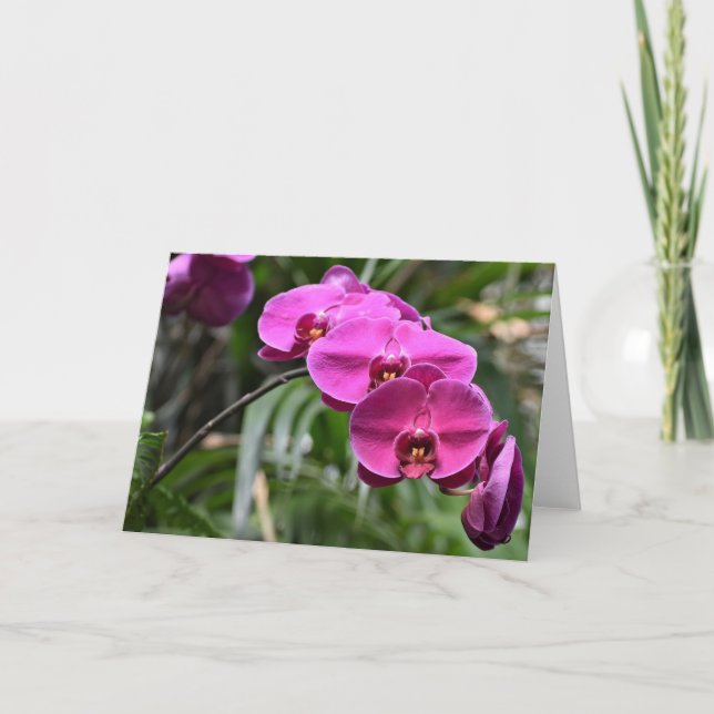 Cartão Terra Verde, carta (Frente)