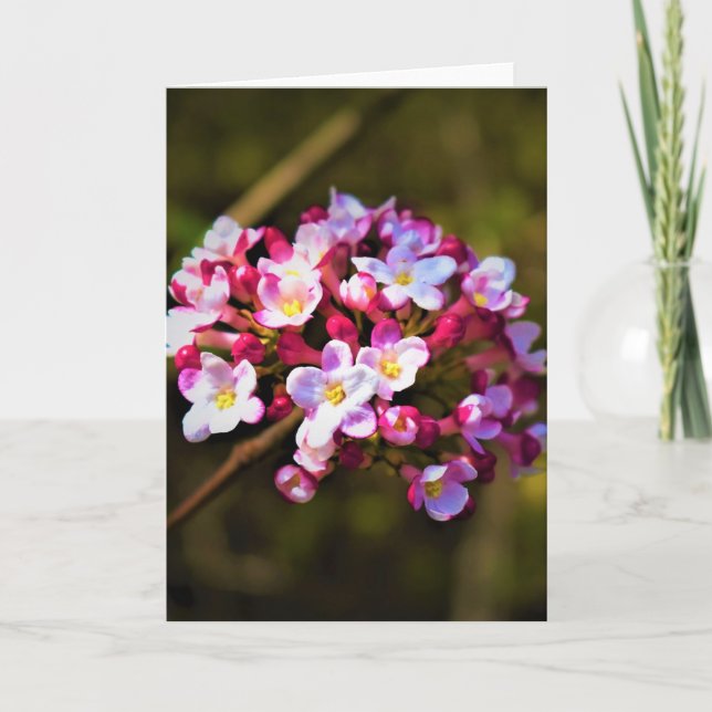 Cartão Terra Verde, carta (Frente)