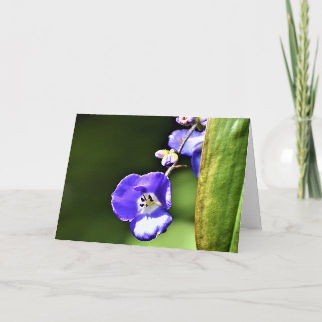 Cartão Terra Verde, carta (Frente)