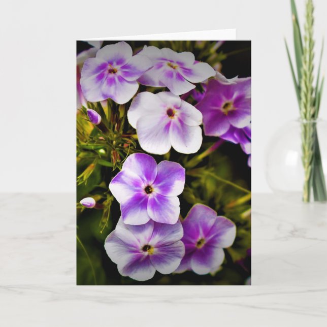 Cartão Terra Verde, carta (Frente)