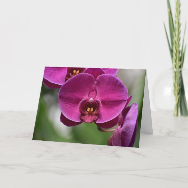 Cartão Terra Verde, carta (Frente)