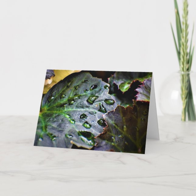 Cartão Terra Verde, carta (Frente)