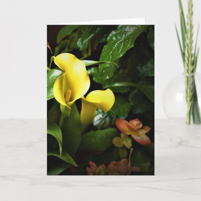 Cartão Terra Verde, carta (Frente)