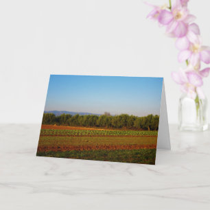 Cartão Terras agrícolas de Valência, Espanha