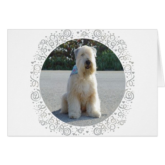Cartão Terrier Irlandês Wheaten (Frente Horizontal)