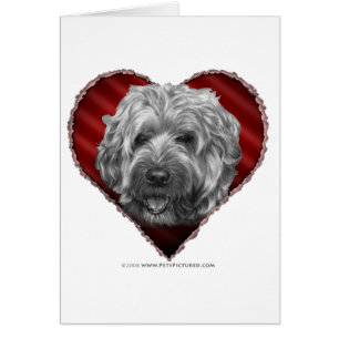 Cartão Terrier Wheaten Macio-Revestido com coração