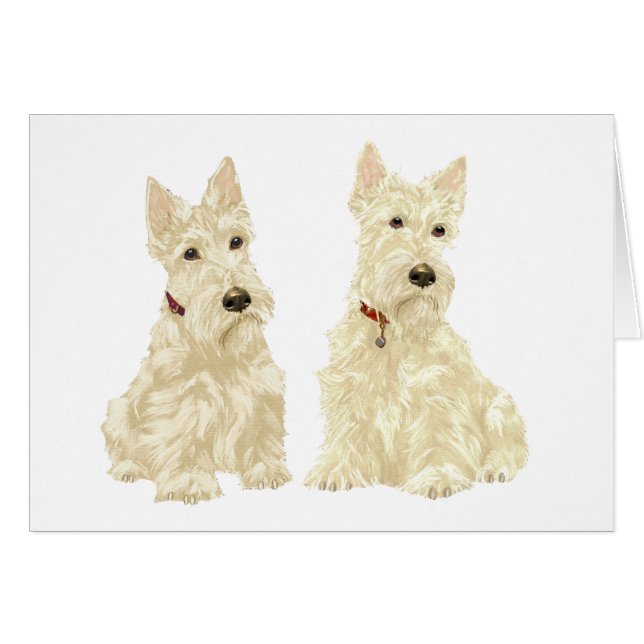 Cartão Terriers Escoceses Wheaten (Frente Horizontal)