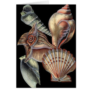 Cartão Tesouros do mar