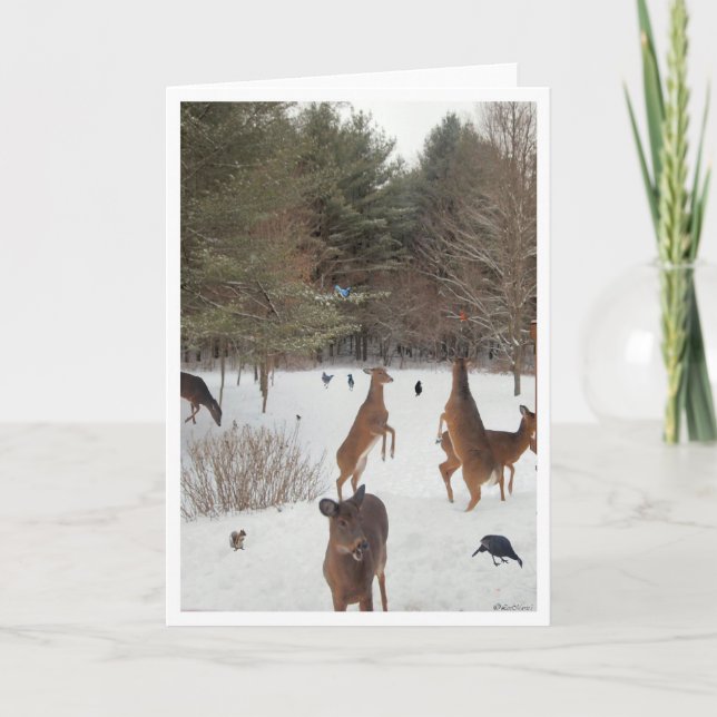 Cartão Testemunha às Belezas (Frente)