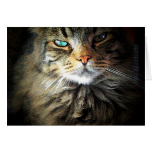 Cartão Teve-me no Meow