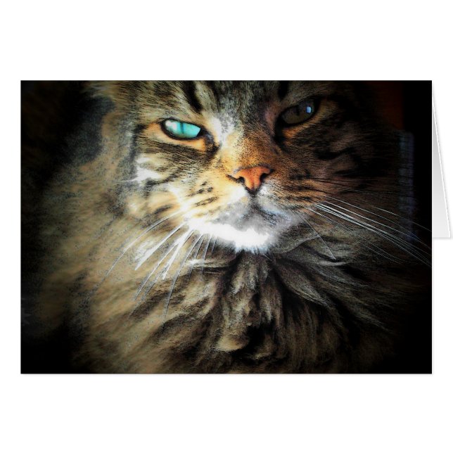 Cartão Teve-me no Meow (Frente Horizontal)