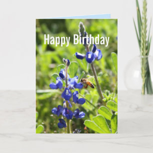 Cartão Texas Bluebonnet Happy Birthday