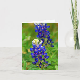 Cartão Texas Bluebonnet Note Card