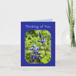 Cartão Texas Bluebonnets pensando em você