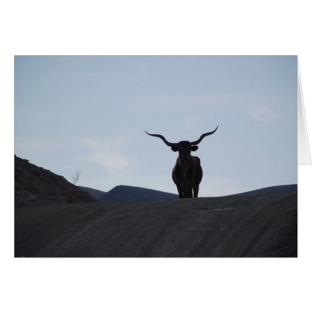 Cartão Texas Longhorn (Frente Horizontal)