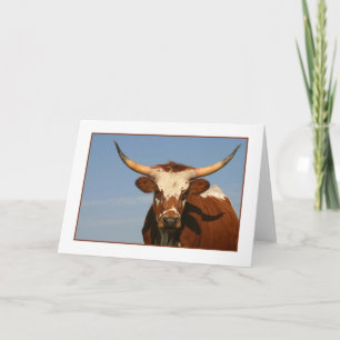 Cartão Texas Longhorn Cow