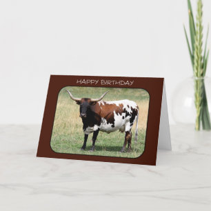Cartão Texas Longhorn Cow Happy Birday