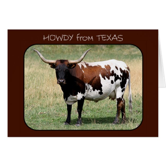 Cartão Texas Longhorn Cow Howdy do Texas (Frente Horizontal)