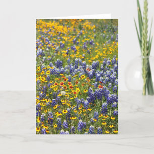 Cartão Texas Wildflowers by Cynthia Wenslow