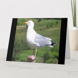 Cartão Texto de adição de inclinação horizontal