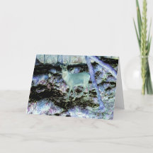 Texto para Adicionar saudação de veado vermelho fa