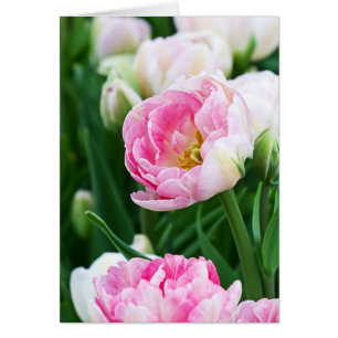 Cartão Texto Personalizado de Primavera de Jardim de Tuli
