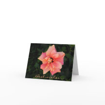 Texto Personalizado do Flor de Hibiscus Rosa-Suave