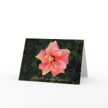 Texto Personalizado do Flor de Hibiscus Rosa-Suave