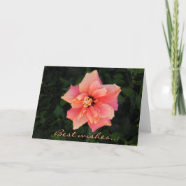Cartão Texto Personalizado do Flor de Hibiscus Rosa-Suave