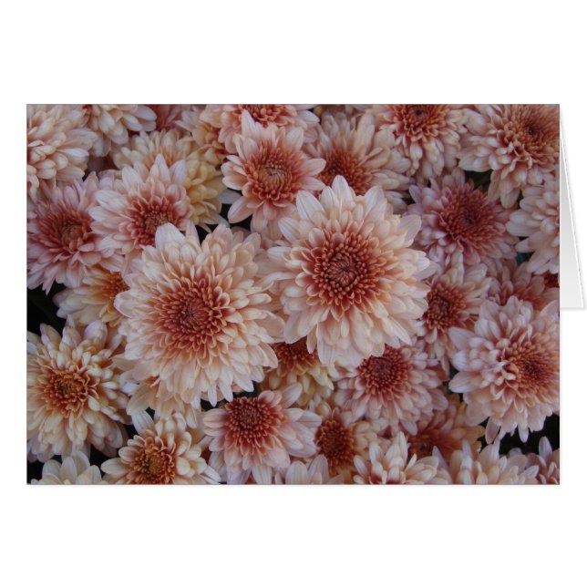 Cartão Textura da felicidade/La textura de la alegría (Frente Horizontal)