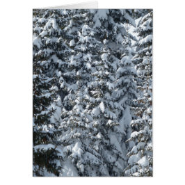 Cartão Textura de árvore de abertura de neve