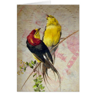 Cartão Textura do laço dos pássaros do vintage