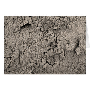 Cartão Textura Legal da Terra rachada