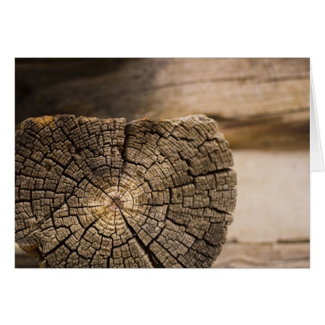 Cartão Texturas de Cabina Antigas (Frente Horizontal)