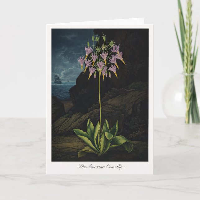 Cartão The American Cow-Slip — Modern Botanical Reinterpr (Frente)