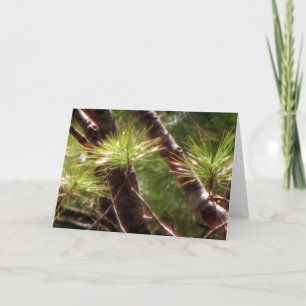 Cartão The Awakened Forest