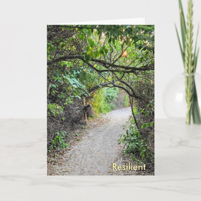 Cartão The Busy Busy Bee Collection – Resilient Card (Frente)