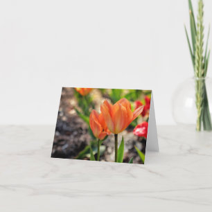 Cartão The Colors of Spring Note Cards