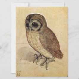 Cartão The Little Owl (por Albrecht Durer)