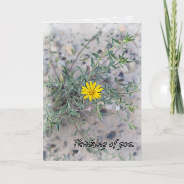 Cartão “The Lord Watches Over You”  (Frente)