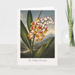 Cartão The Nodding Renealmia — Modern Botanical Reinterpr