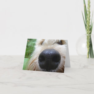 Cartão The nose knows!