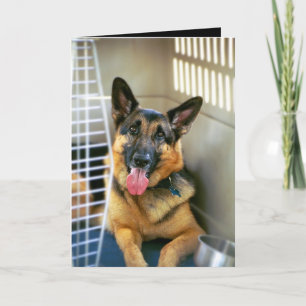 Cartão Thinking About You Card